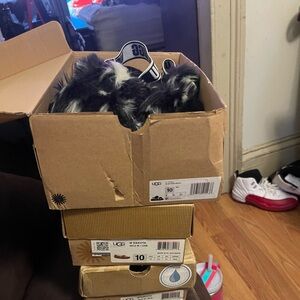 3 pairs of never worn Uggs